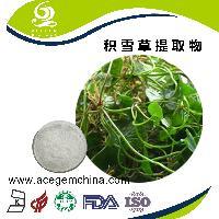 高純度紅參提取物 艾森格生物 品質(zhì)保證_中國蕪湖_艾森格_植物提取物-