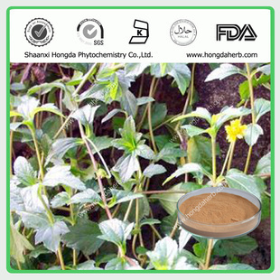 植物提取物-專業(yè)植提廠家,現(xiàn)貨供應(yīng)蕁麻提取物,純天然優(yōu)質(zhì)原料藥,質(zhì)優(yōu)價(jià)廉-植物提.