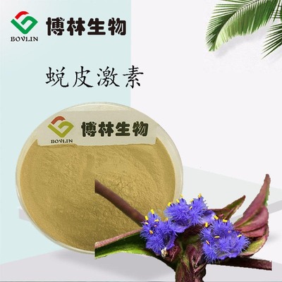 蛻皮激素的天然寶庫 露水草提取物及其應(yīng)用價(jià)值